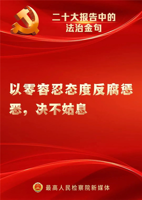 速览！二十大报告中的法治金句