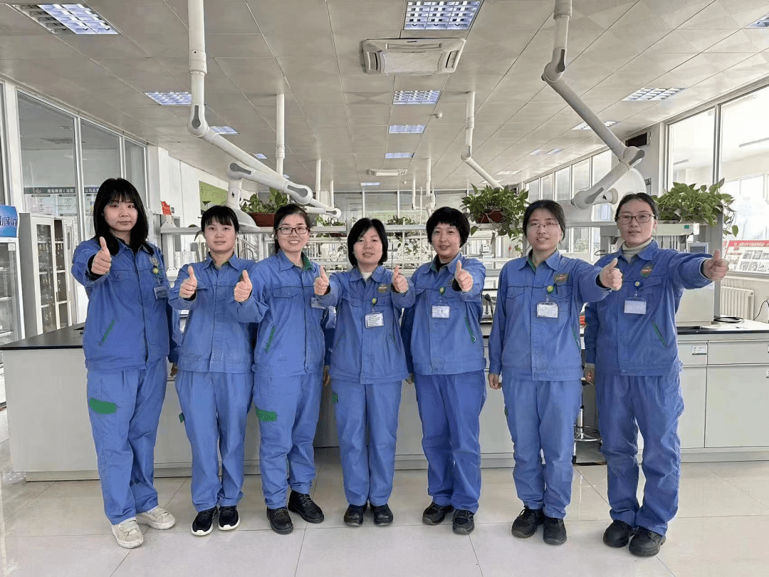 巾帼绽芳华 建功新时代丨2022年度洛阳市五一巾帼先进集体和个人优秀事迹展播(五) 法律